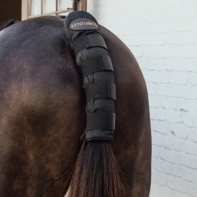 Kentucky Tailguard Pro