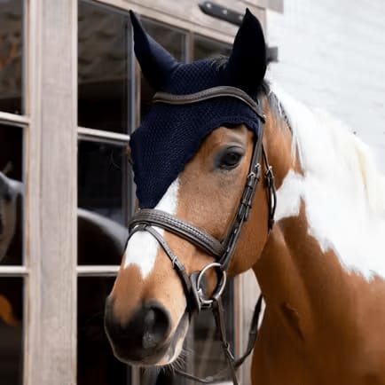 Kentucky Fly Veil Long