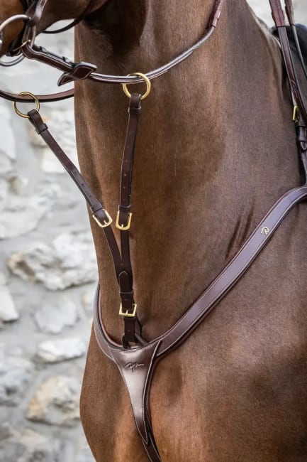 Dyon Running Martingale Attachment D Collection