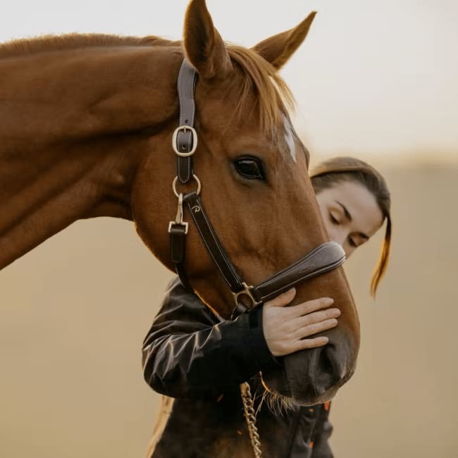Dyon Leather Head Collar D Collection