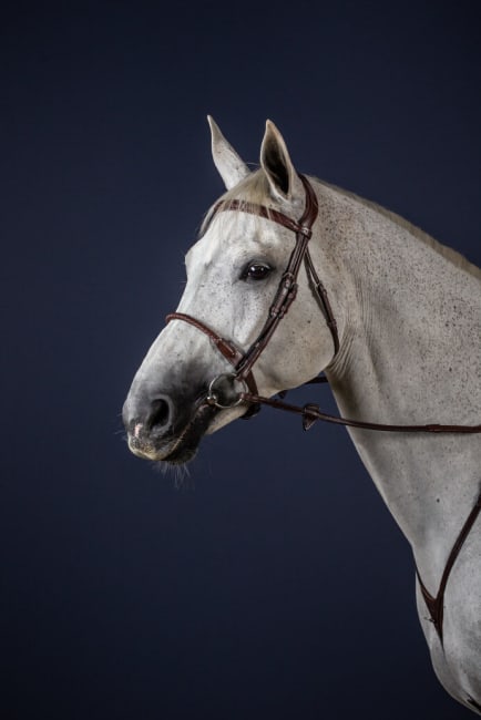 Dyon Leather Covered Rope Noseband Bridle New English Collection