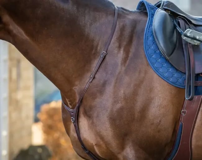 Dyon Yoke New English Collection