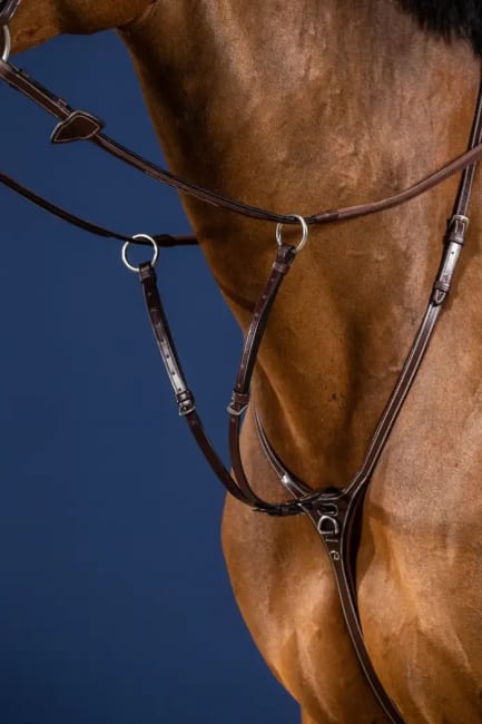 Dyon Running Martingale Attachment US Collection