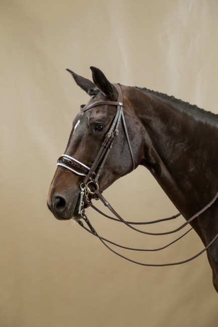 Dyon Patent Large Crank Noseband With White Padding Double Bridle Working By Dyon