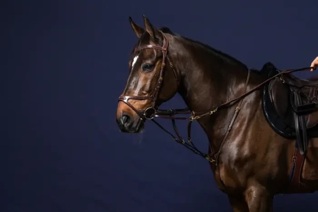 Dyon Howlett Attachment D Collection