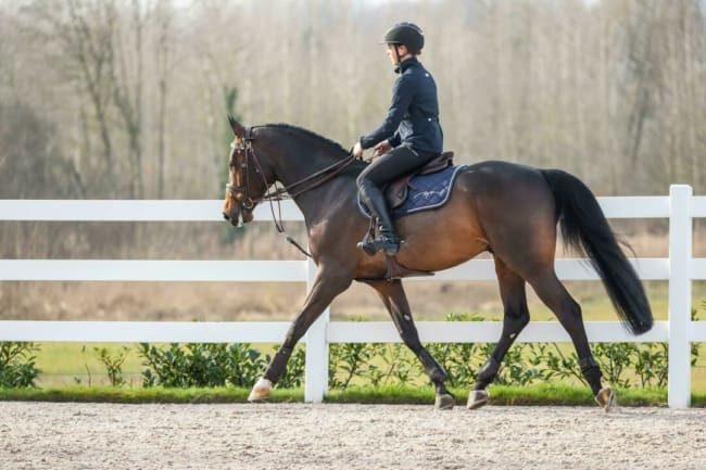 Dyon Gogue Reins Working By Dyon