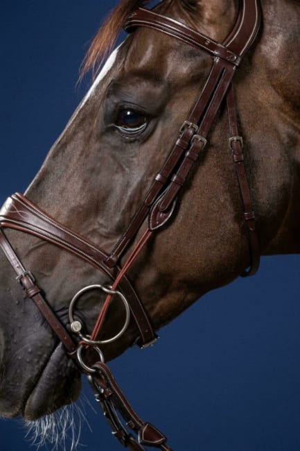 Dyon GAG Cheekpieces US Collection