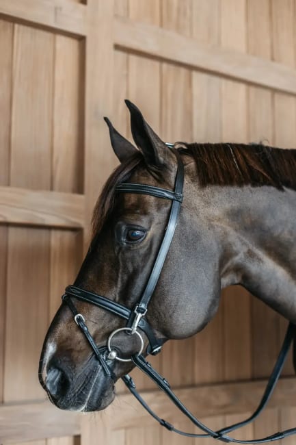 Dyon Training Bridle Working By Dyon