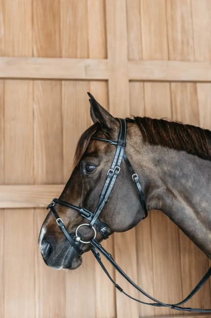 Dyon Round Leather Bridle Working By Dyon