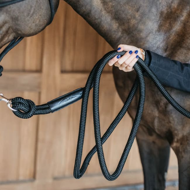 Dyon Training Lead W/Removable Snap