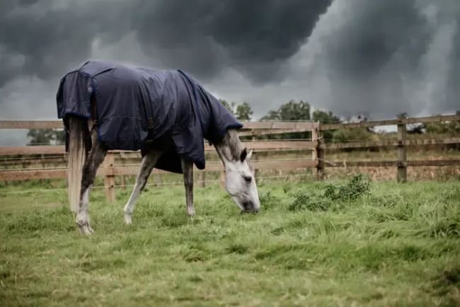 Kentucky Turnout Rug All Weather Hurricane 150gr