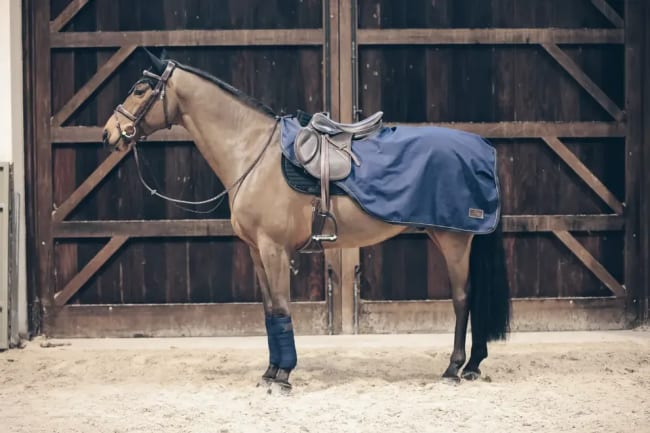 Kentucky Riding Rug All Weather 160gr