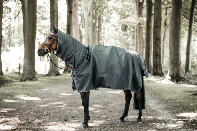 Kentucky Horse Raincoat Hurricane