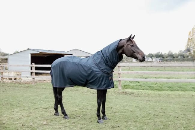 Kentucky Waterproof Combo Fly Rug Classic