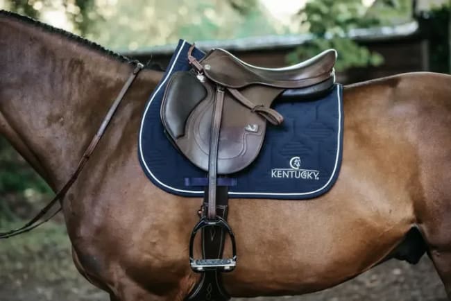 Kentucky Saddle Pad Color Edition Jumping