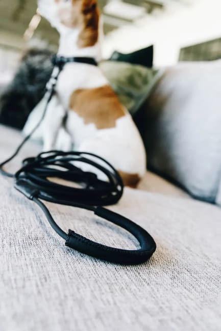 Kentucky Tow lead Soft Rubber