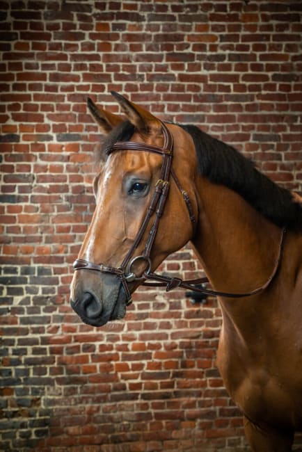 Dyon Adjustable Drop Noseband Bridle D Collection