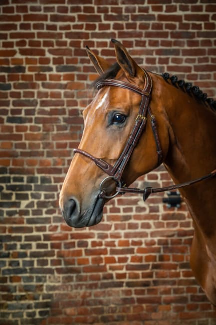 Dyon Leather Covered Rope Noseband Bridle D Collection