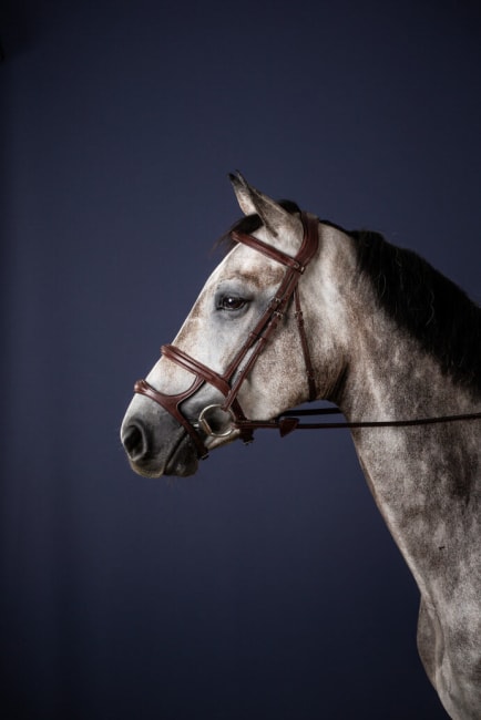Dyon Double Noseband Bridle New English Collection