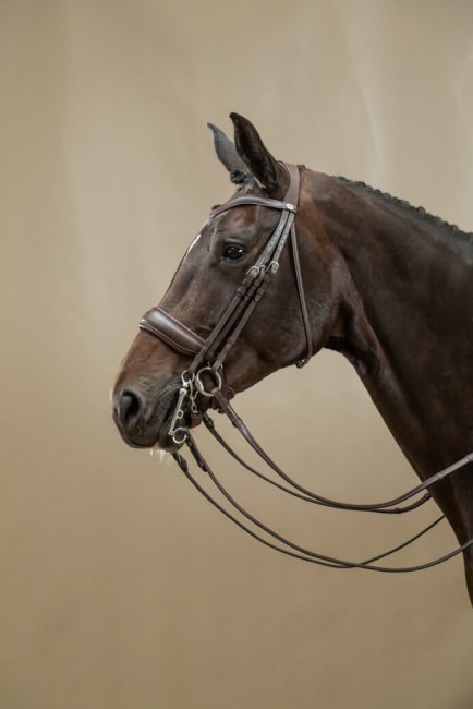 Dyon Matte Large Crank Noseband Double Bridle Working By Dyon