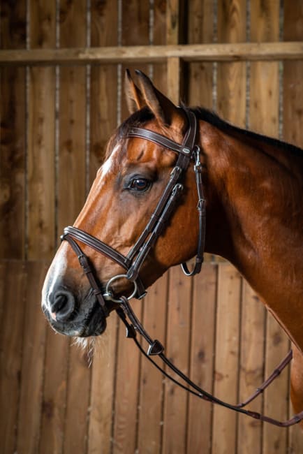 Dyon Flash Noseband Bridle With Snap Hooks Working By Dyon