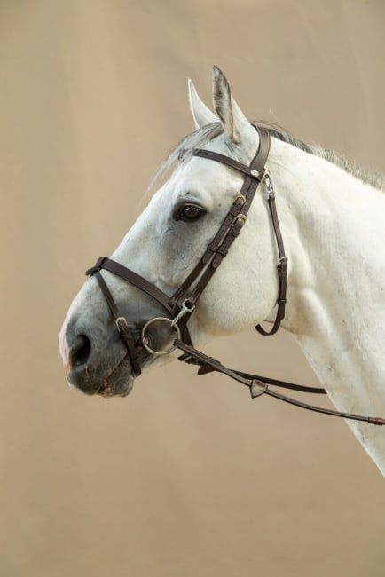 Dyon Flat Leather Bridle With Snap Hooks Working By Dyon