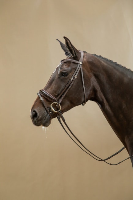 Dyon Patent Large Crank Noseband Bridle With Flash Working By Dyon