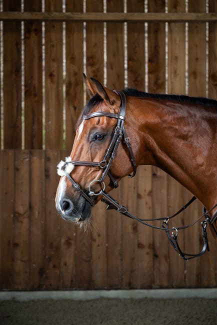 Dyon Fig 8 Noseband Bridle Working By Dyon