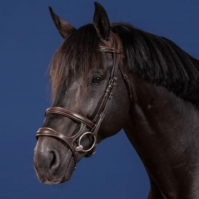 Dyon Double Noseband Bridle US Collection