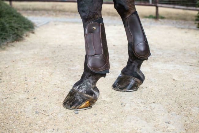 Dyon Leather Neoprene Tendon Boots With Velcro