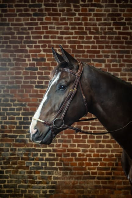 Dyon Rope Drop Noseband Bridle D Collection