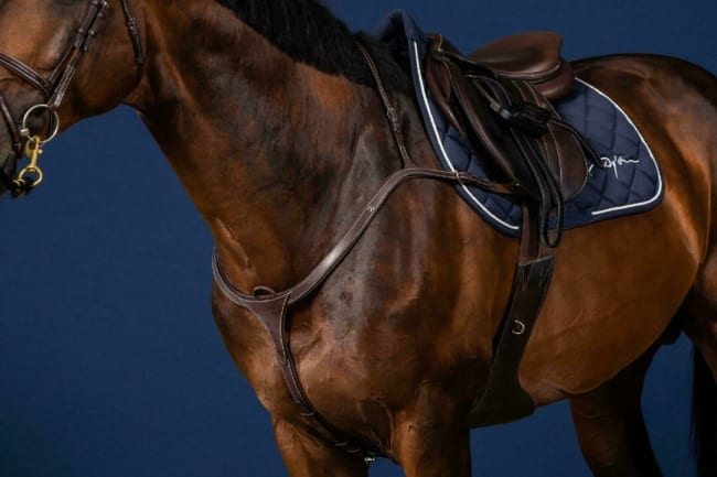 Dyon Long Bridge Breastplate US Collection