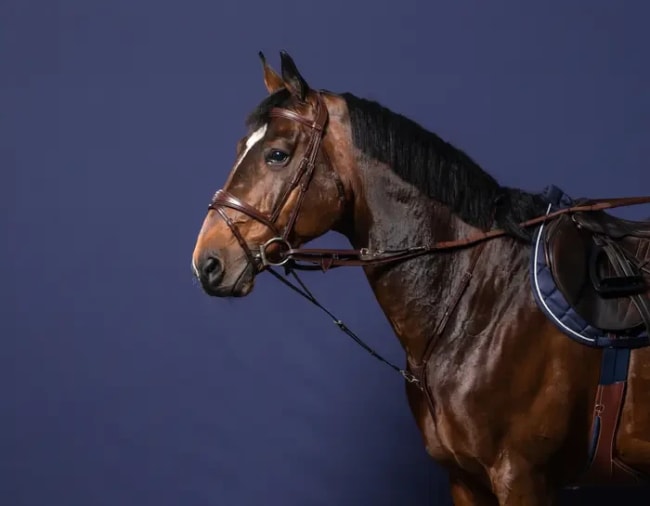 Dyon Howlett Attachment New English Collection