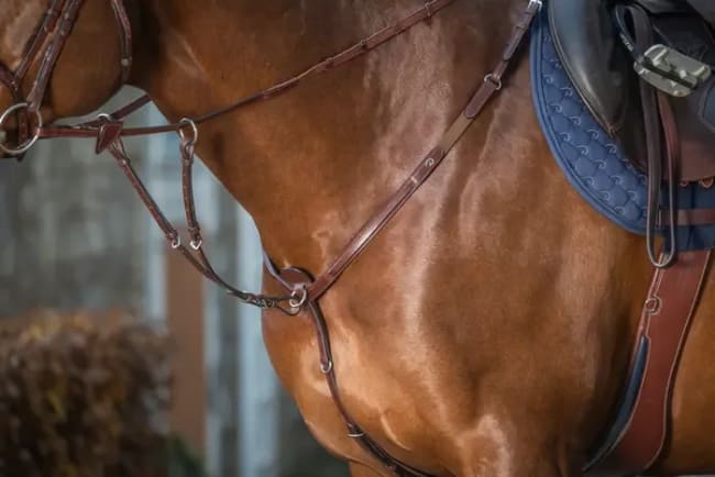 Dyon Running Martingale Attachment New English Collection