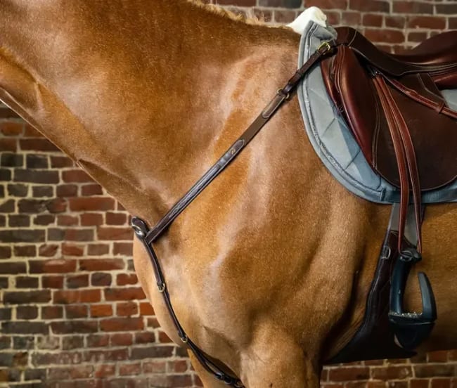 Dyon Breastplate D Collection