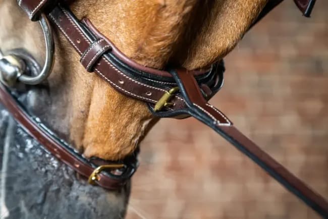 Dyon Standing Martingale Attachment D Collection