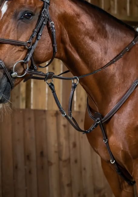 Dyon Running Martingale Attachment Working By Dyon