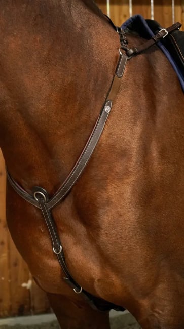 Dyon Bridge Breastplate Working By Dyon