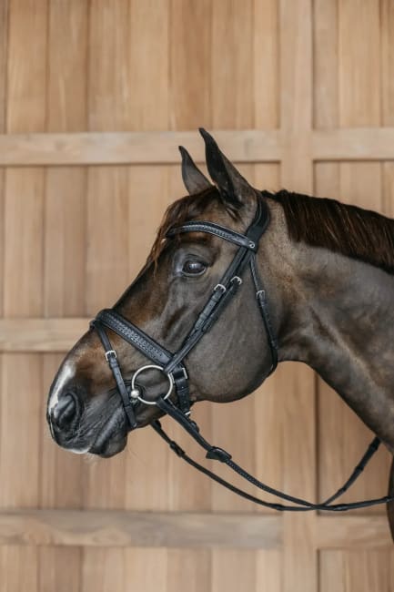 Dyon Plaited Flash Noseband Bridle with Pull back New English Collection