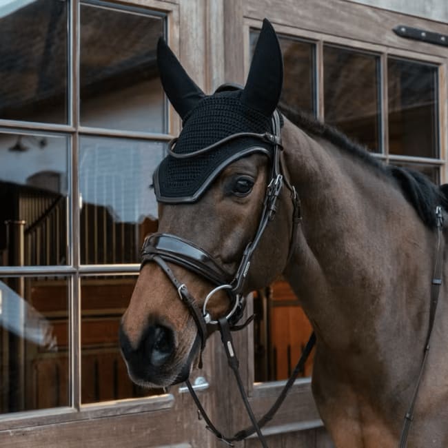 Kentucky Fly veil Wellington Leather