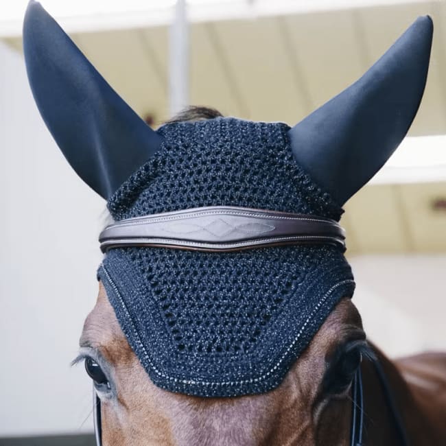 Kentucky Fly veil Wellington Sparkeling