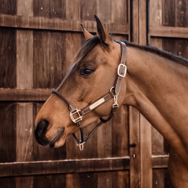 Kentucky Leather Rope Halter