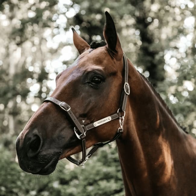 Kentucky Leather Halter Flexible
