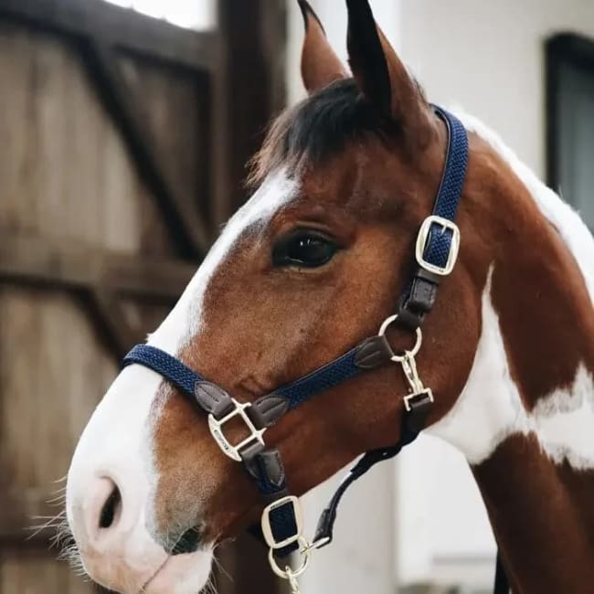 Kentucky Nylon Plaited Halter