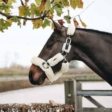 Kentucky Sheepskin Shipping Halter