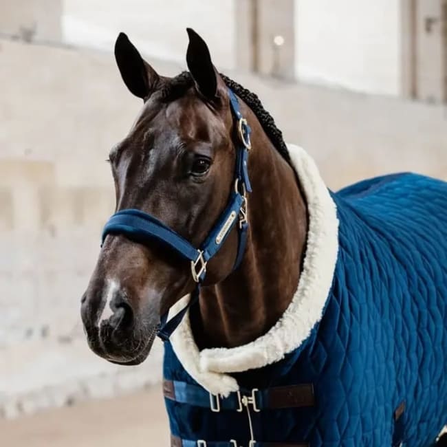 Kentucky Velvet Halter