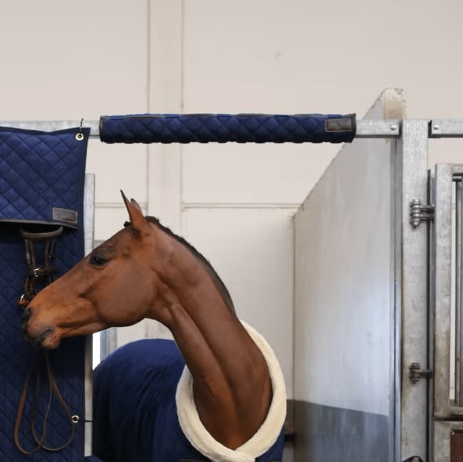 Kentucky Head Protector