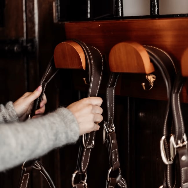 Grooming Deluxe Bridle Rack