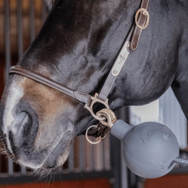 Kentucky Lead & Wall Protection Rubber Ball