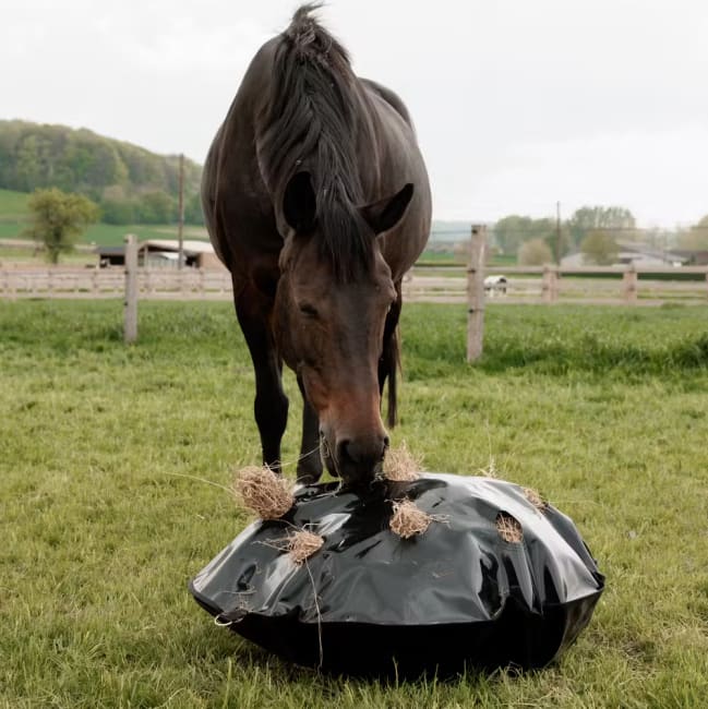Grooming Deluxee Play & Haybag Slowfeeder Round